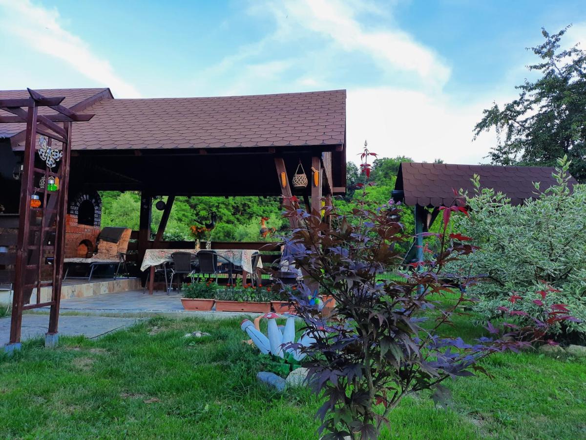 Casa Bunicilor Holiday home