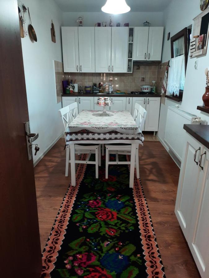 Casa Bunicilor Holiday home Ciprian Porumbescu