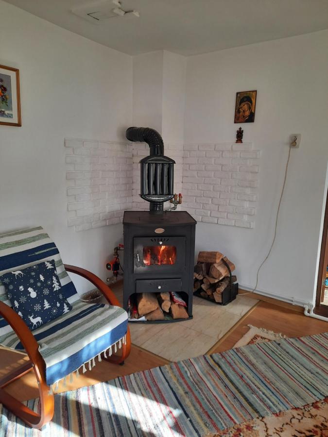 Casa Bunicilor Holiday home Ciprian Porumbescu