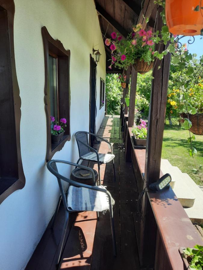 Casa Bunicilor Holiday home *