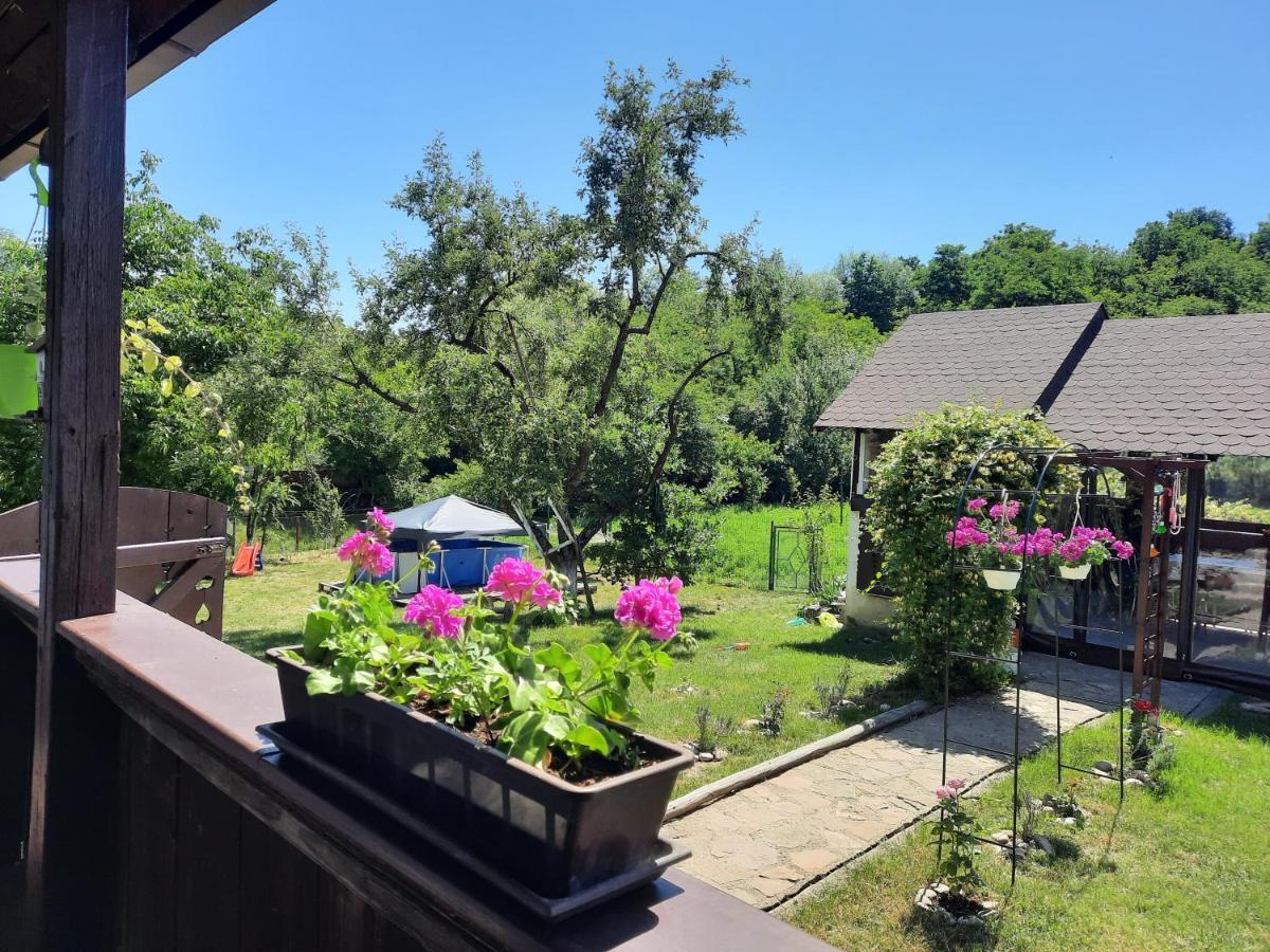 Casa Bunicilor Holiday home