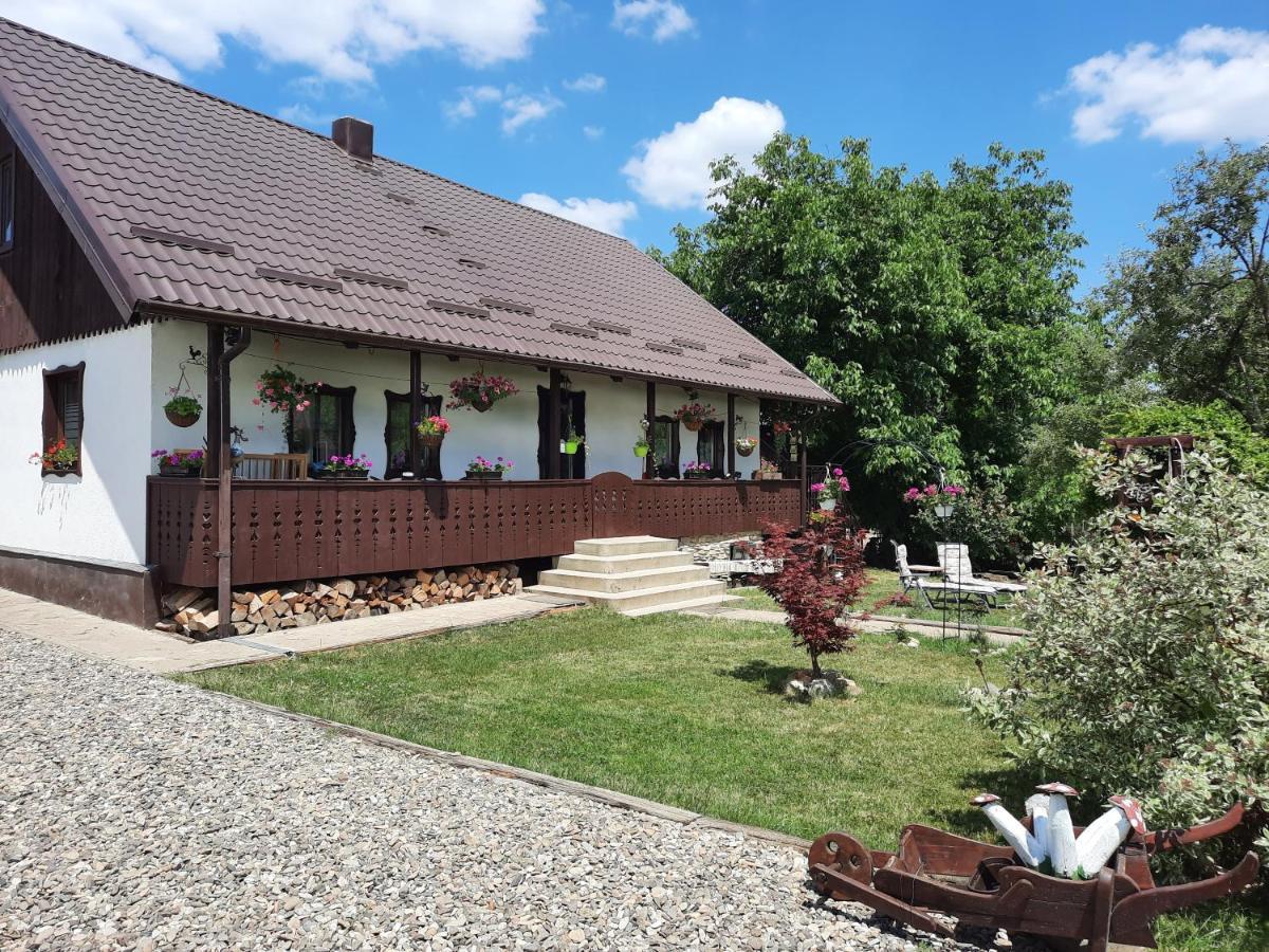 Casa Bunicilor Holiday home *