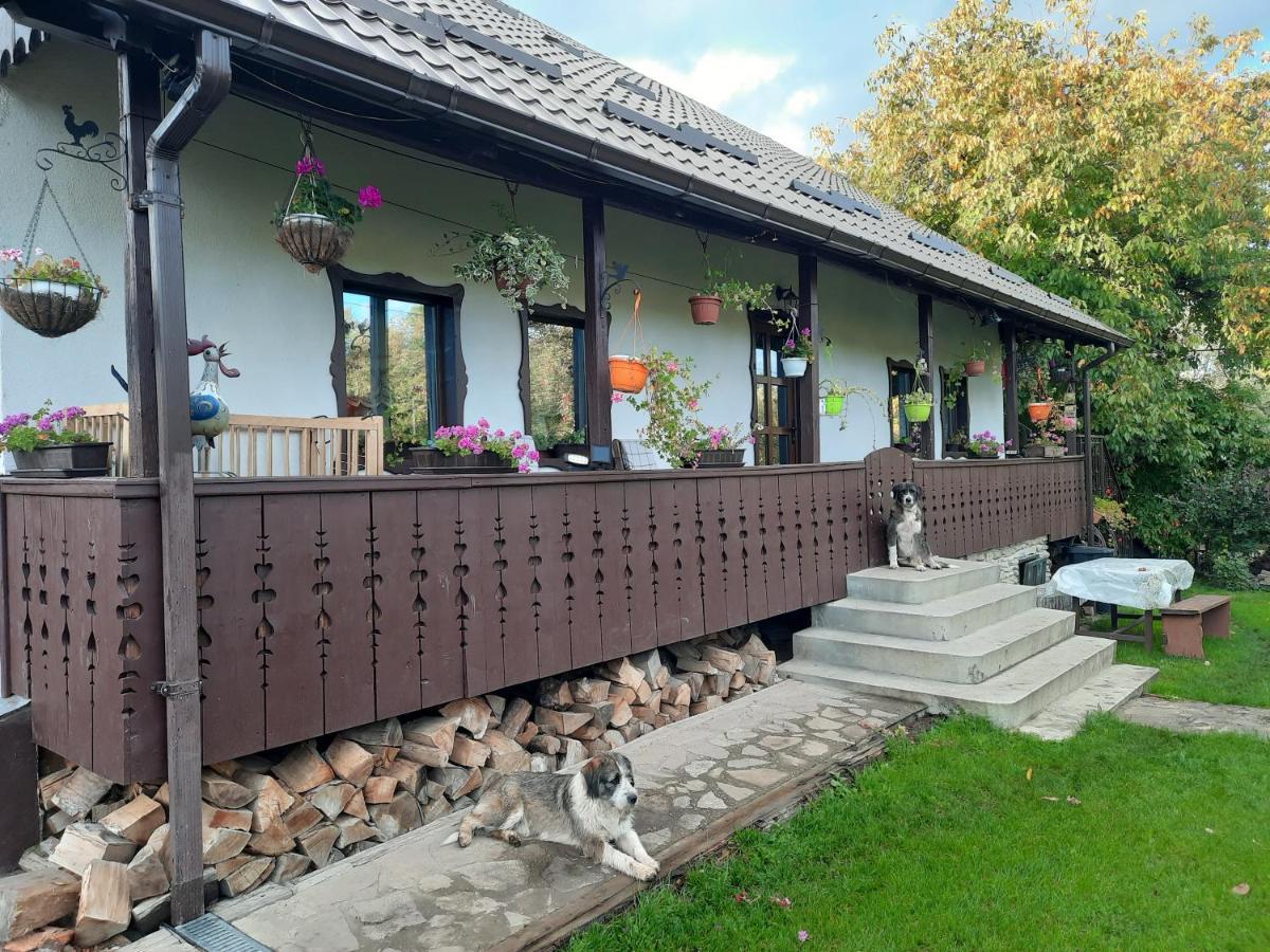 Casa Bunicilor Holiday home Ciprian Porumbescu