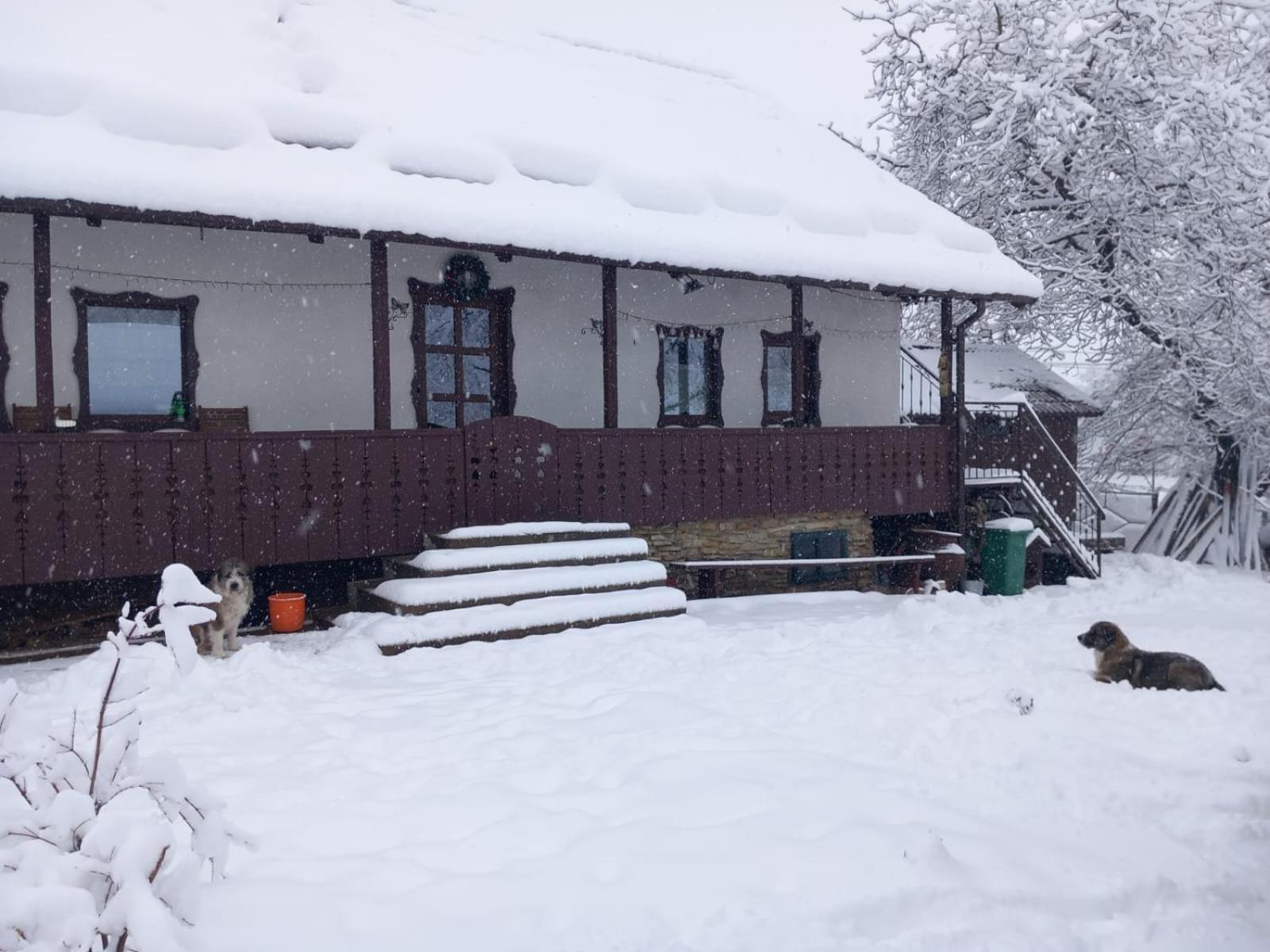 Casa Bunicilor * Ciprian Porumbescu
